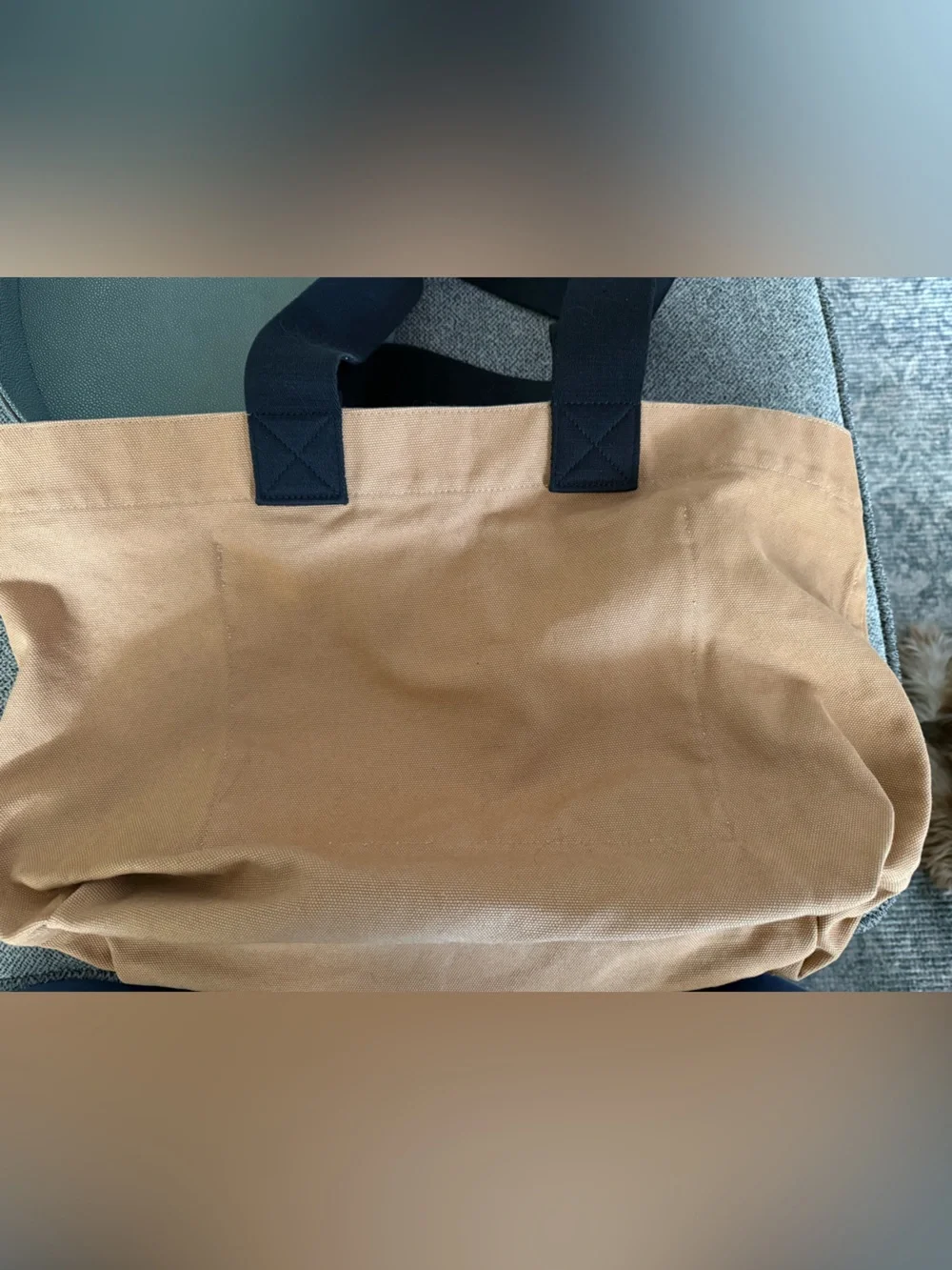 AllSaints Tan Canvas Tote Bag with Black Handles